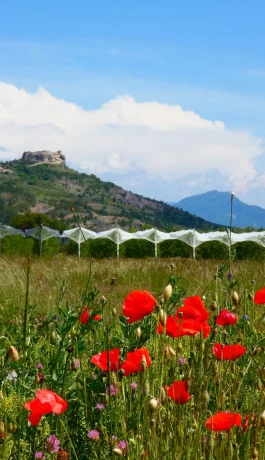 Tour du Pic de l’Aigle