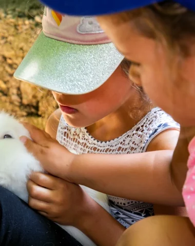 Avec les animaux