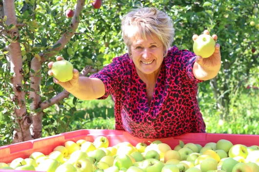 La pomme des Alpes