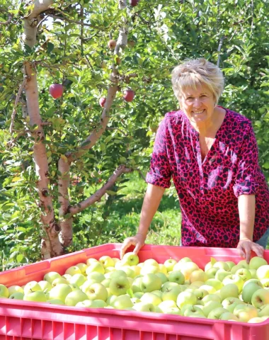 La pomme des Alpes