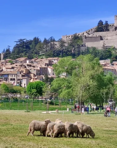 Fête de l’agneau