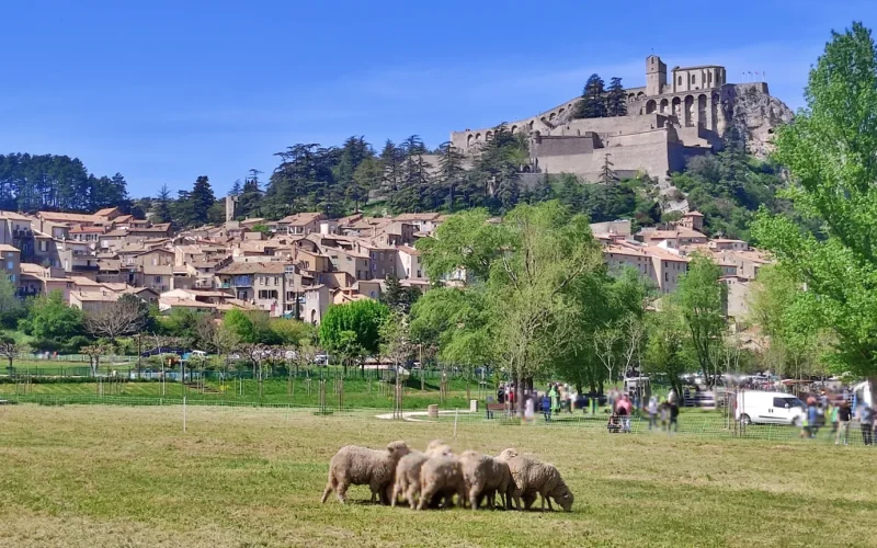 Fête de l’agneau