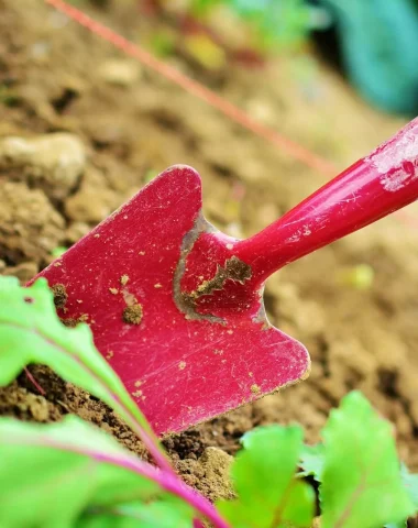 Tout pour la maison et le jardin