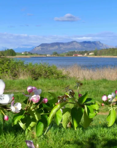 Que faire dans les Alpes-de-Haute-Provence au printemps