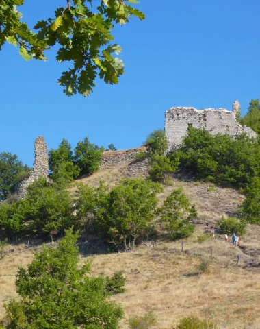 Randonnées au départ de Laragne-Montéglin