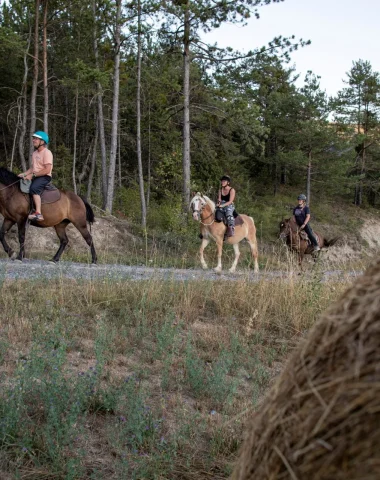 Équitation