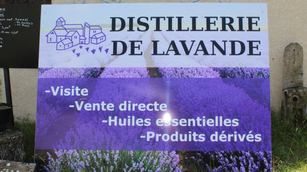 Distillerie de lavande - Distillerie de lavande (Copyright : Office de tourisme Sisteron Buech)